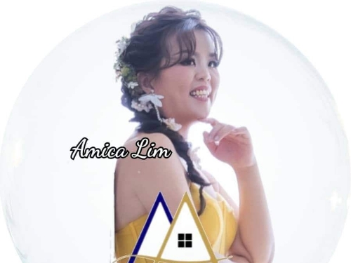 AMICA LIM