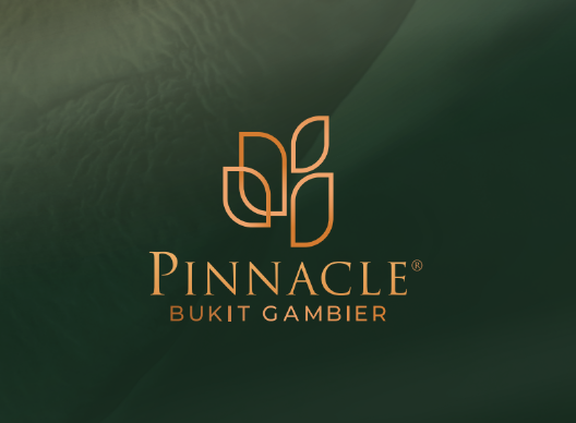 Pinnacle Homes Holdings Sdn. Bhd. (1189126A / 201601018190)