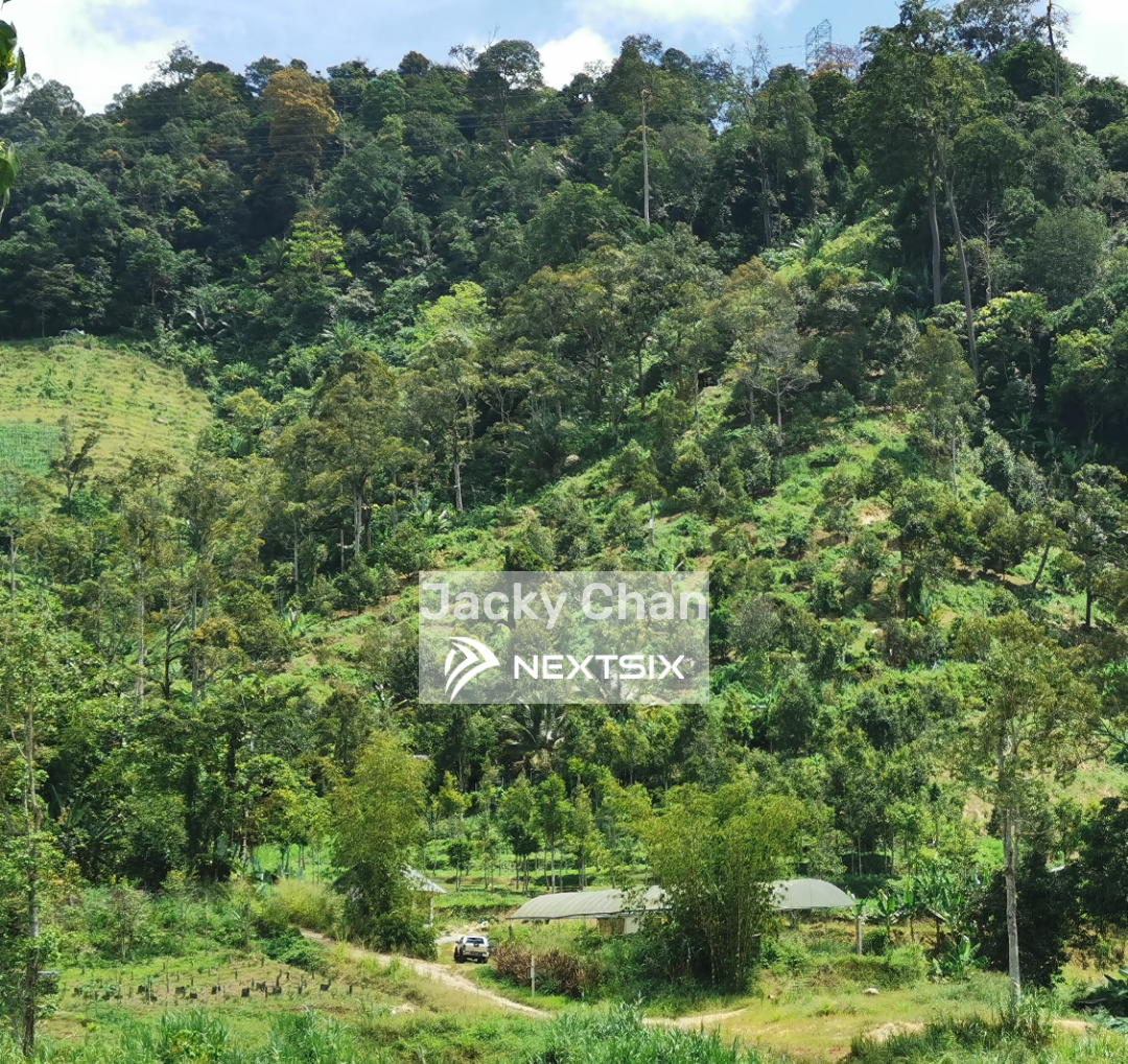 Agricultural Land For Sale in Bentong Pahang