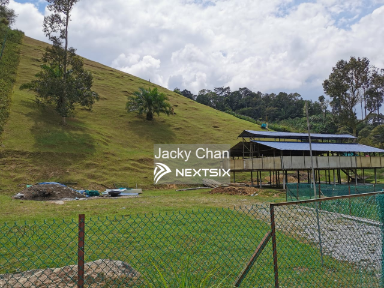 Agricultural Land For Sale in Bentong Pahang