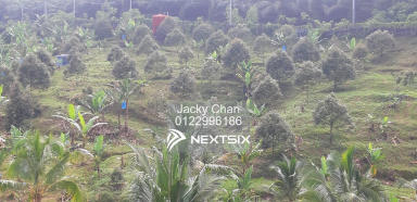 Agricultural Land For Sale in Rasa Selangor