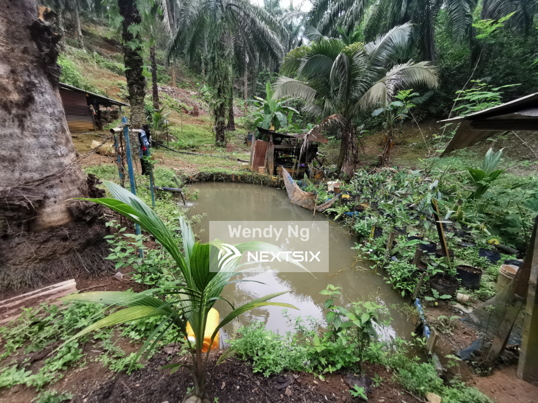 Agricultural Land For Sale in Hulu Selangor Selangor