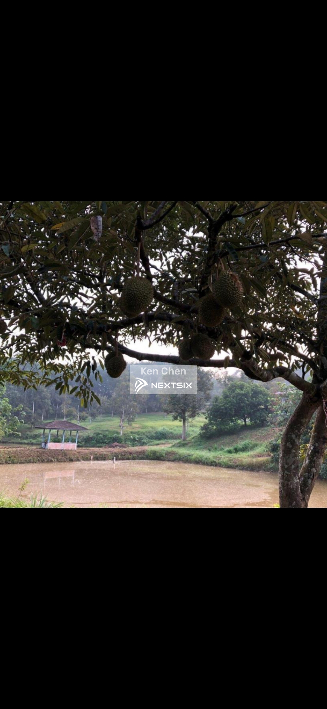 Residential Land For Sale in Rasa Selangor - Image 5