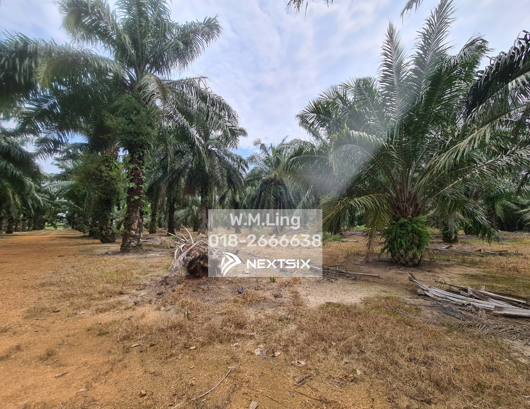 Agricultural Land For Sale in Sungai Pelek Selangor - Image 2