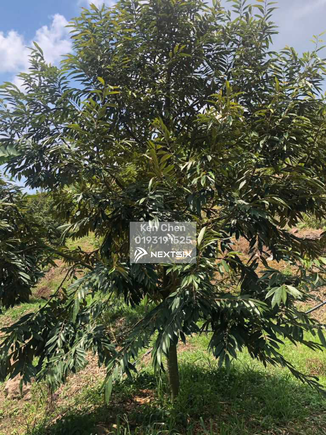 Residential Land For Sale in Bentong Pahang