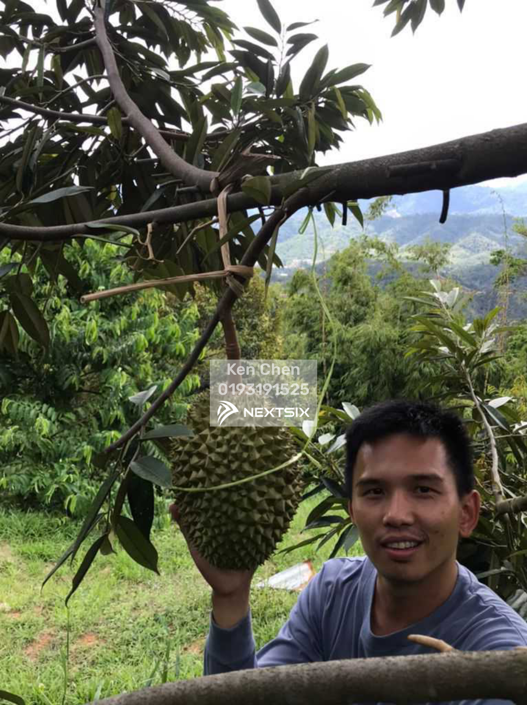 Residential Land For Sale in Bentong Pahang - Image 2