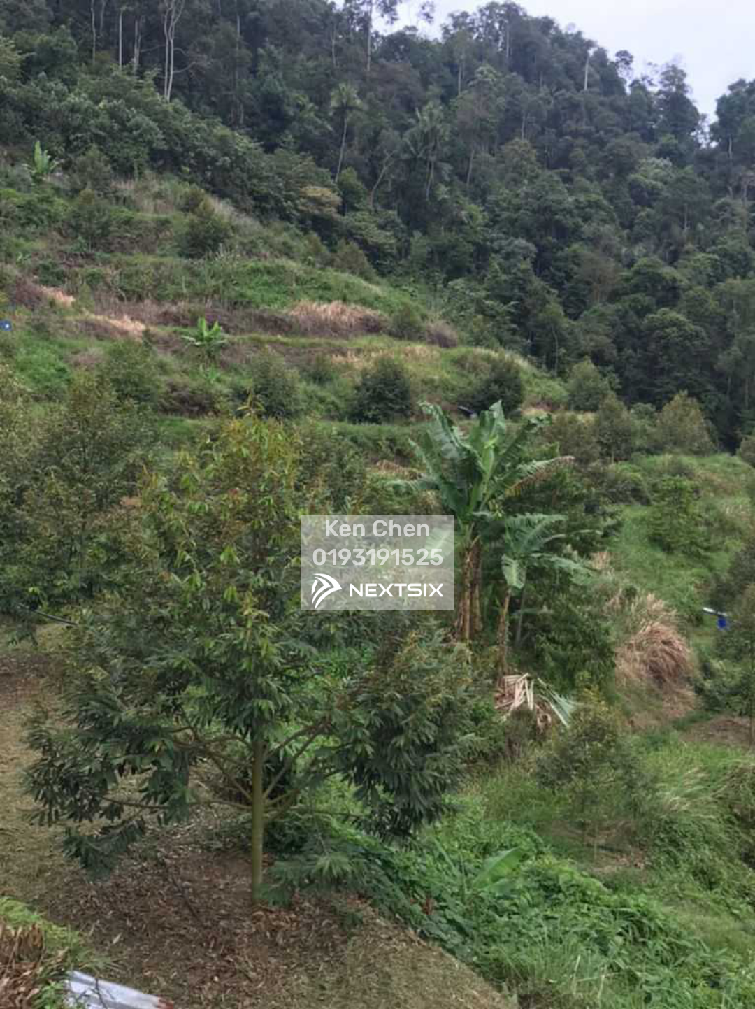 Residential Land For Sale in Bentong Pahang - Image 3