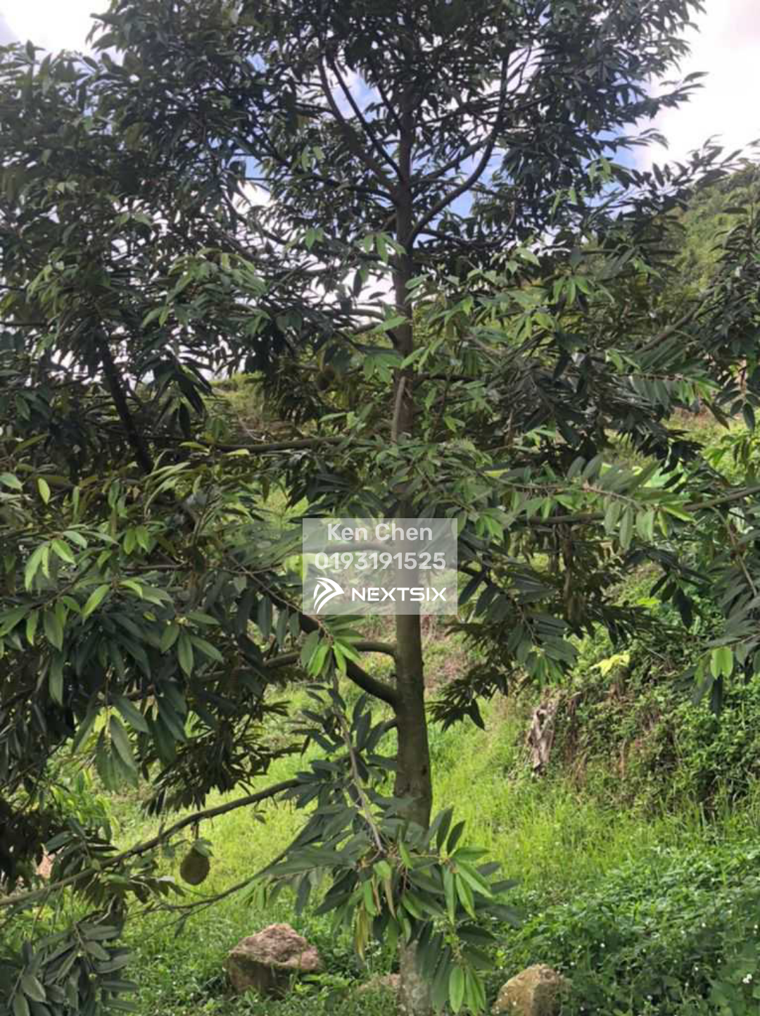 Residential Land For Sale in Bentong Pahang - Image 4