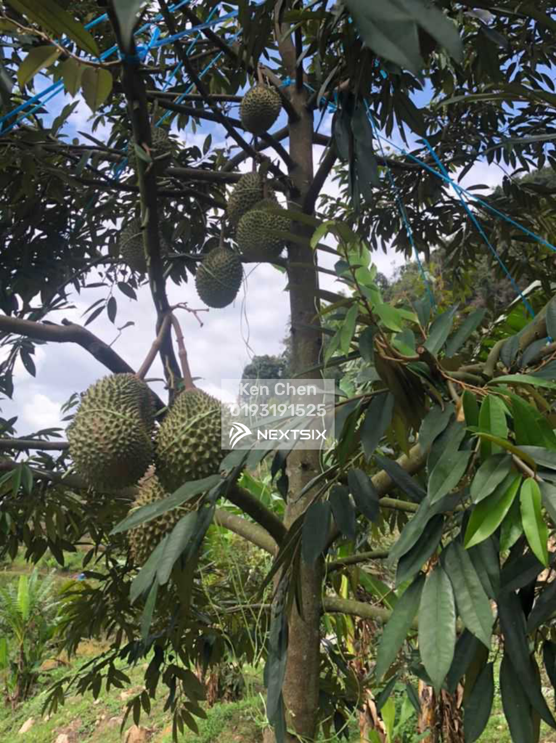 Residential Land For Sale in Bentong Pahang - Image 5