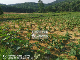 Agricultural Land For Sale in Bukit Beruntung Selangor - Image 5