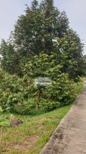 Agricultural Land For Sale in Raub Pahang