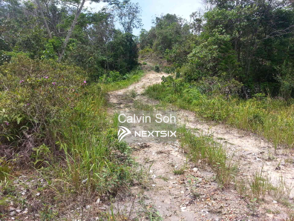 Agricultural Land For Sale in Bukit Beruntung Selangor