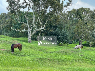 Residential Land For Sale in Nilai Negeri Sembilan - Image 4