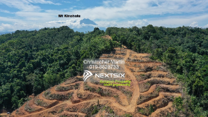 Agricultural Land For Sale in Tamparuli Sabah