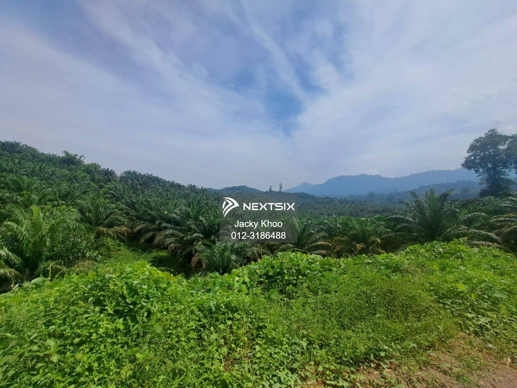 Agricultural Land For Sale in Gua Musang Kelantan - Image 12