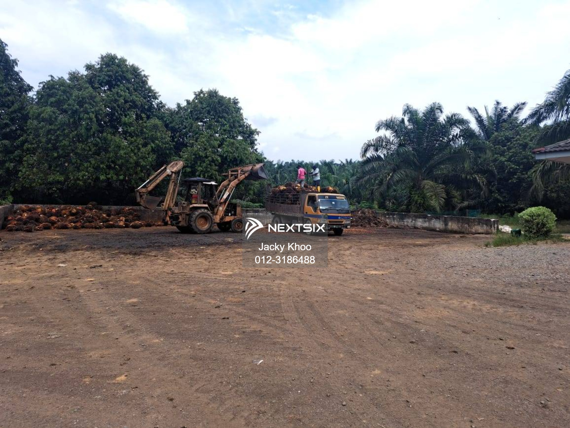 Agricultural Land For Sale in Gua Musang Kelantan - Image 3