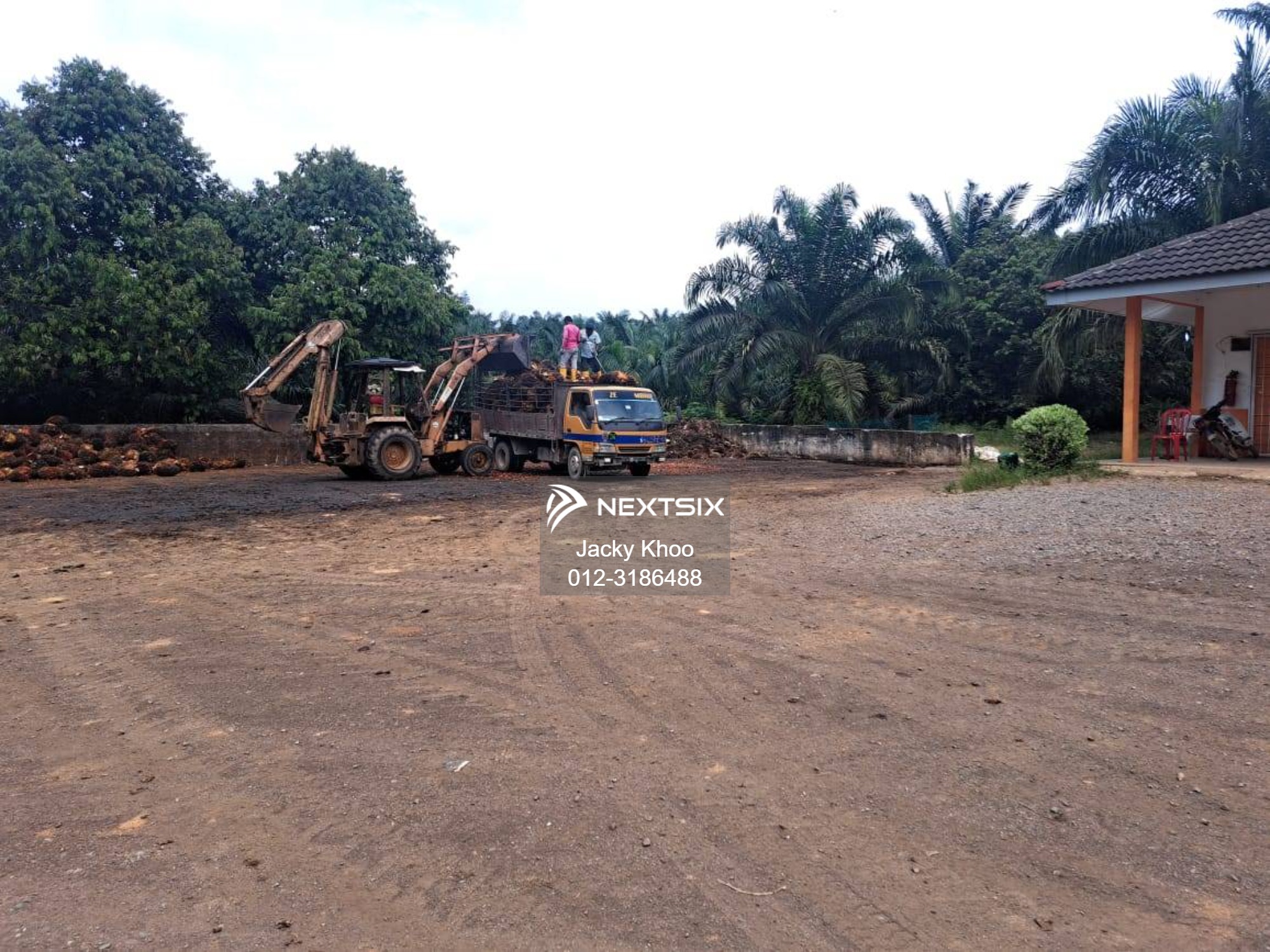 Agricultural Land For Sale in Gua Musang Kelantan - Image 6