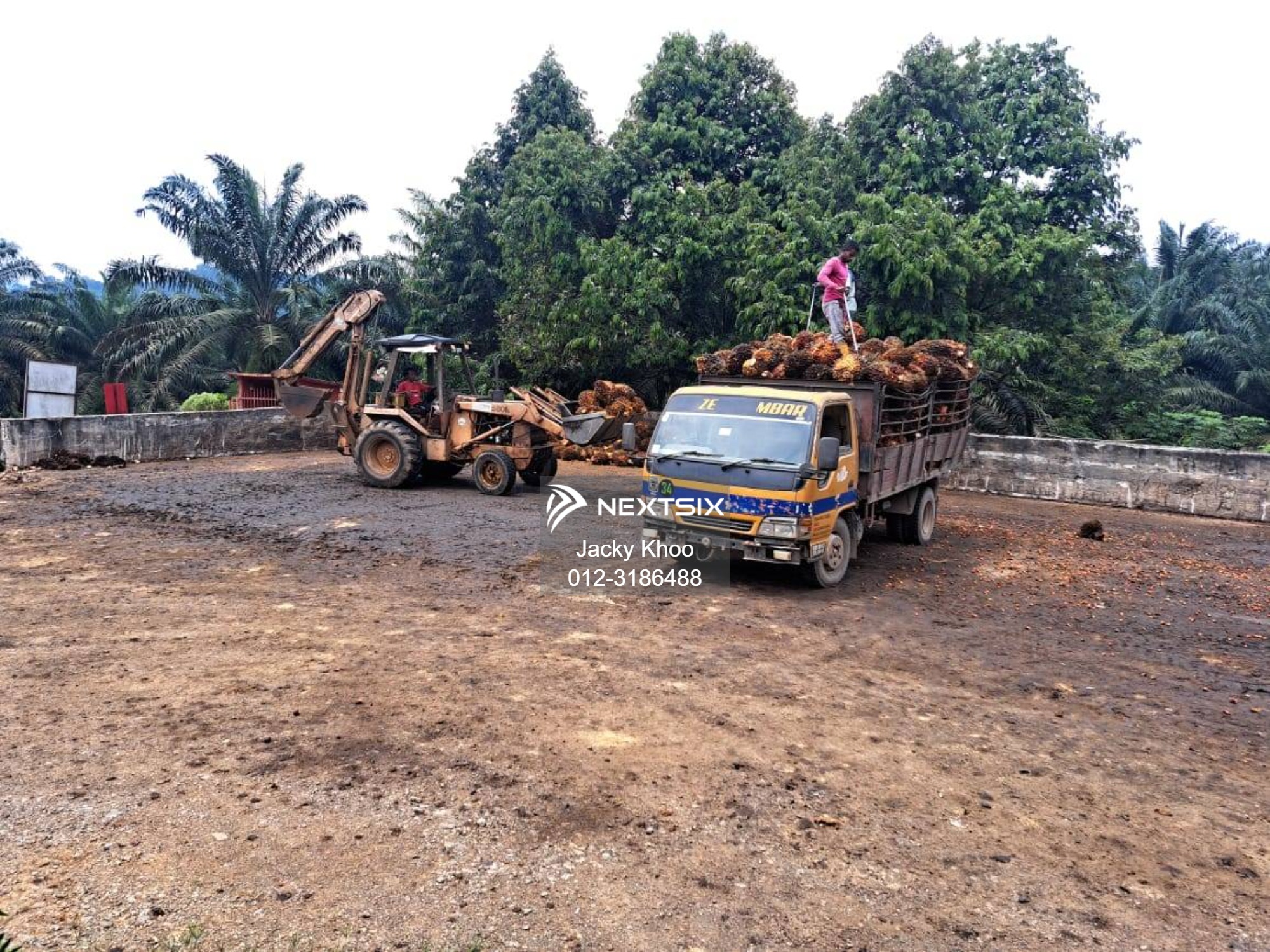 Agricultural Land For Sale in Gua Musang Kelantan - Image 10