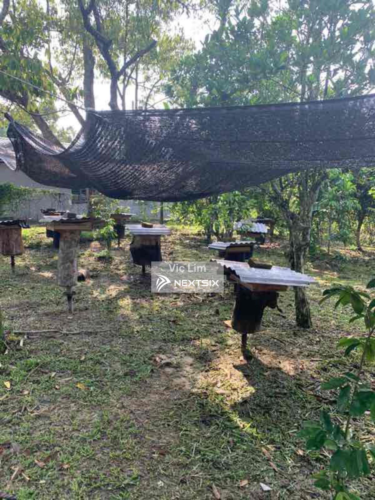 Agricultural Land For Sale in Rengam Johor