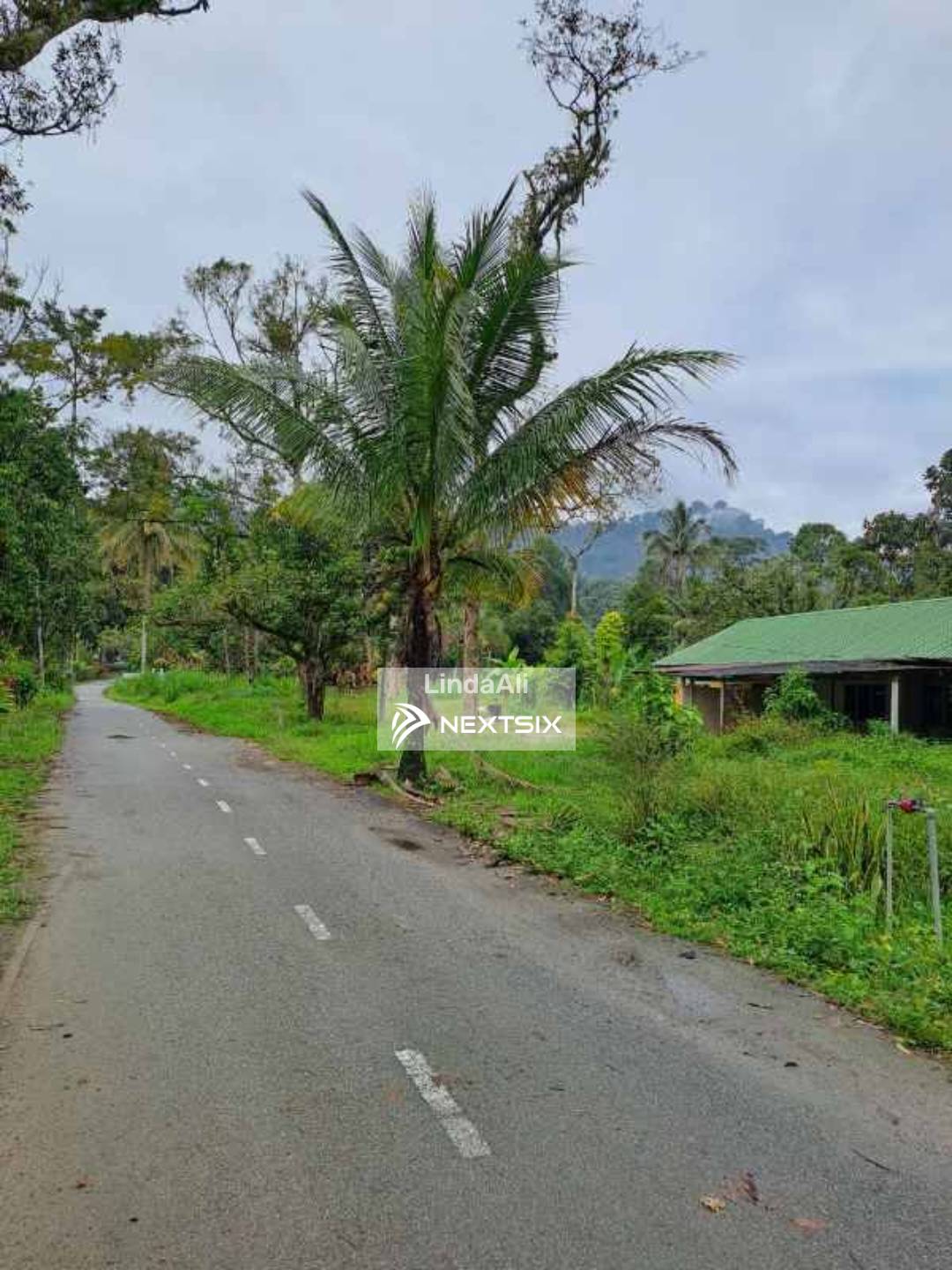 Agricultural Land For Sale in Bentong Pahang