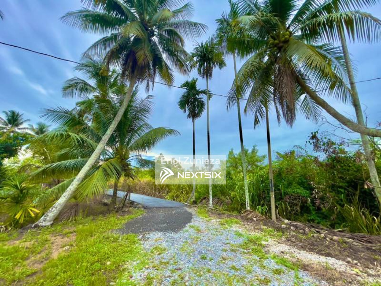 Agricultural Land For Sale in Kangar Perlis - Image 6