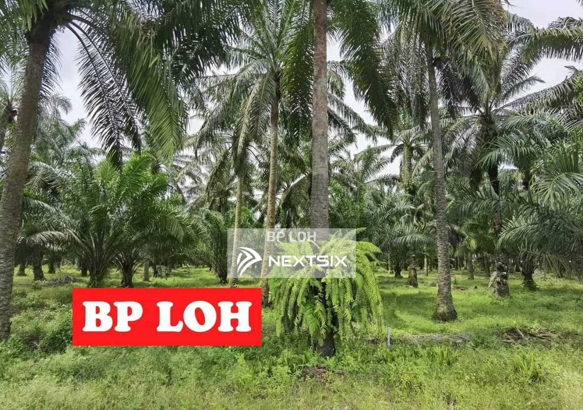 Industrial Land For Sale in Nibong Tebal Penang