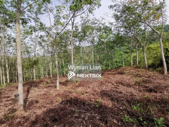 Agricultural Land For Sale in Semenyih Selangor