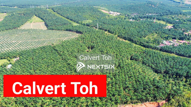 Agricultural Land For Sale in Kulim Kedah
