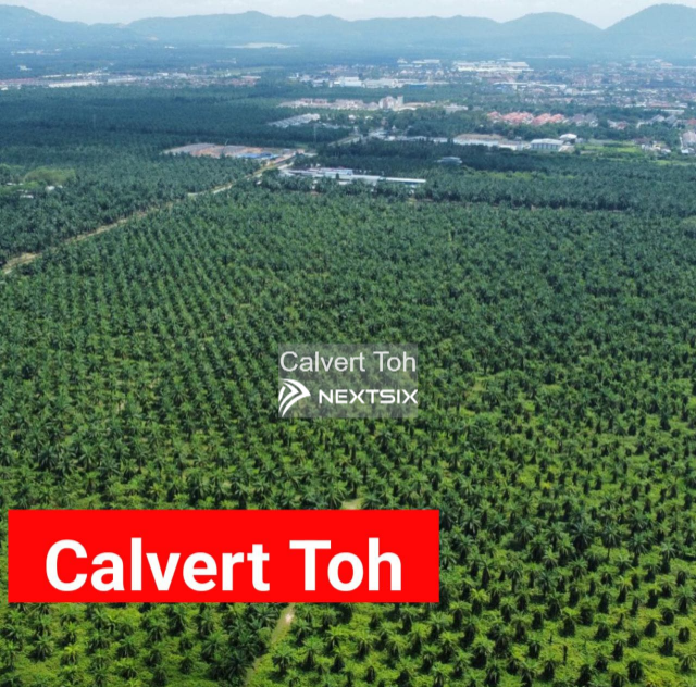 Agricultural Land For Sale in Kulim Kedah