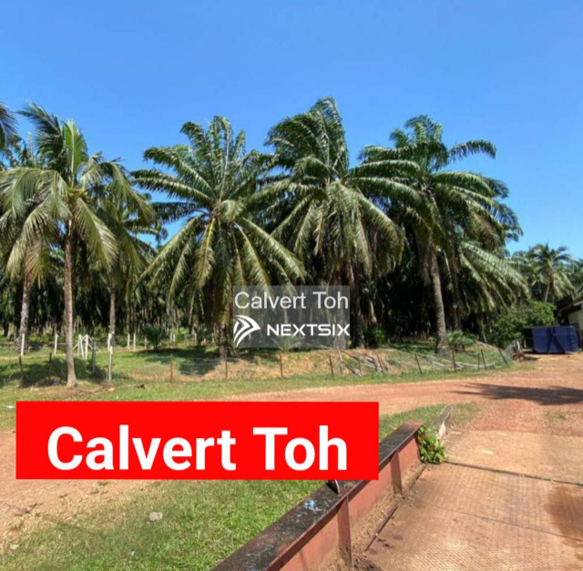 Agricultural Land For Sale in Sungai Petani Kedah