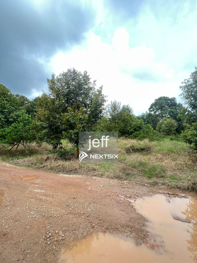 Agricultural Land For Sale in Pekan Nanas Johor