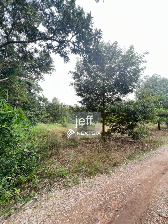Agricultural Land For Sale in Pekan Nanas Johor - Image 5