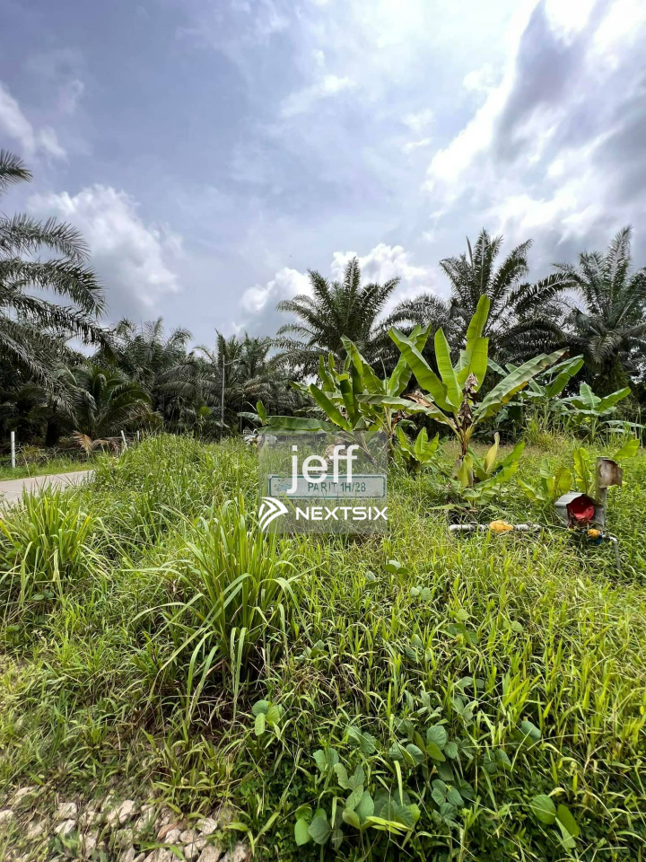 Agricultural Land For Sale in Pekan Nanas Johor - Image 6
