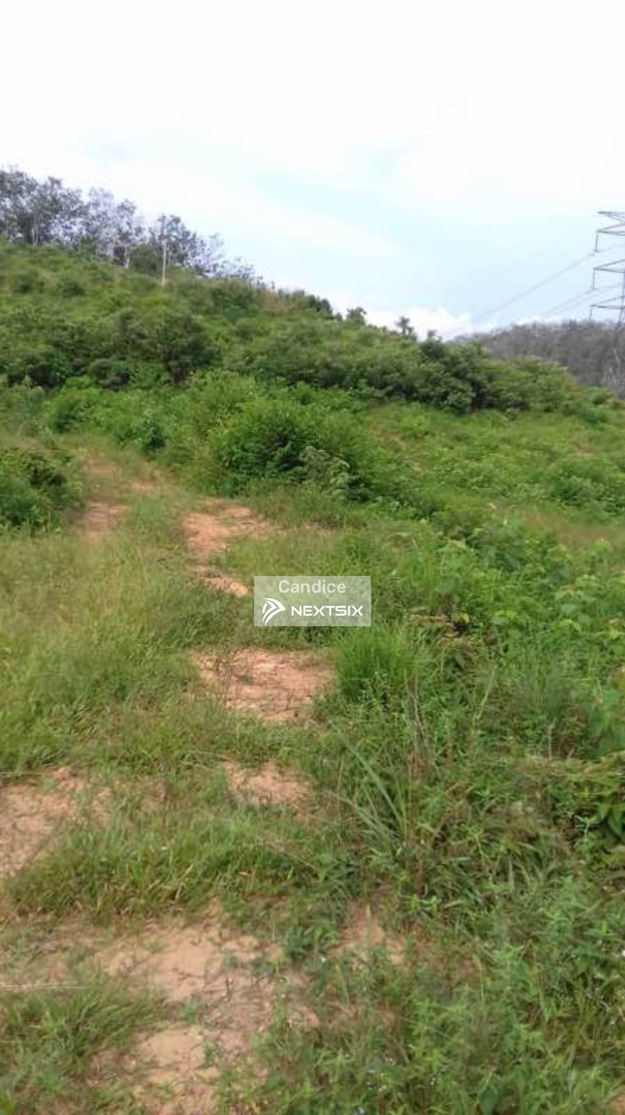 Agricultural Land For Sale in Yong Peng Johor