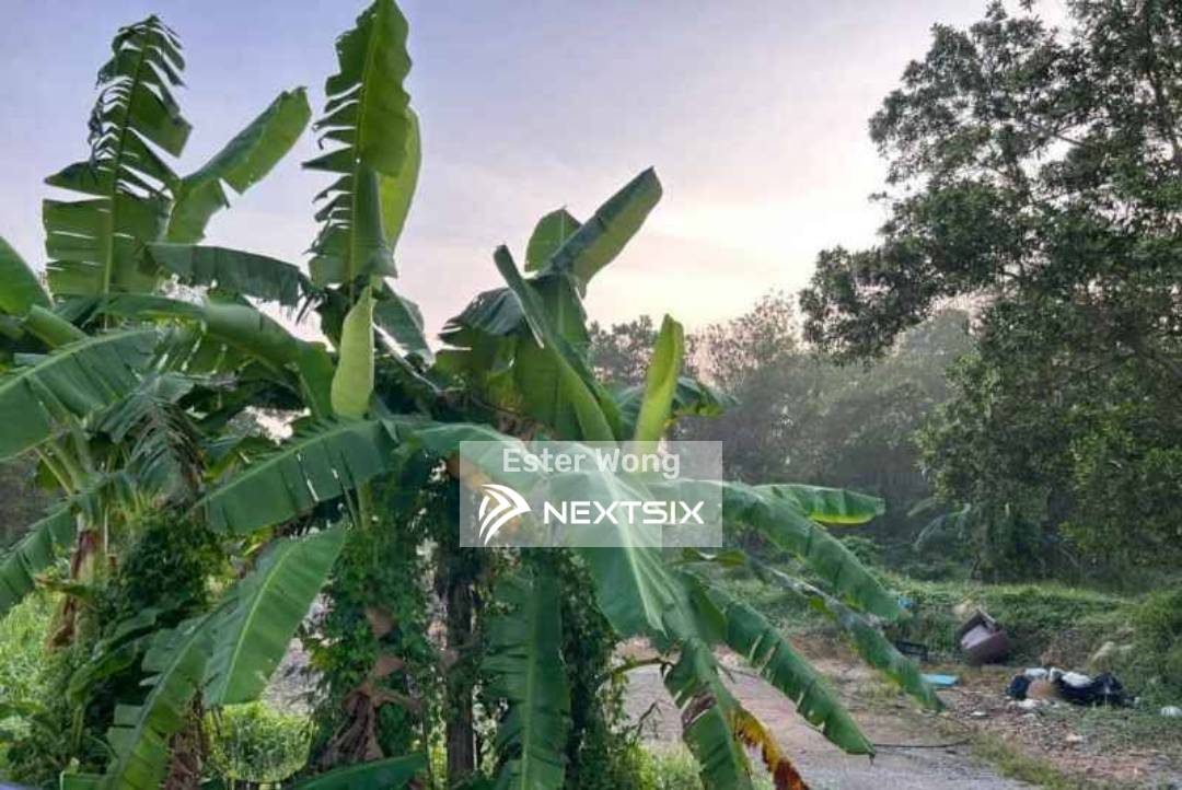 Agricultural Land For Sale in Ulu Tiram Johor