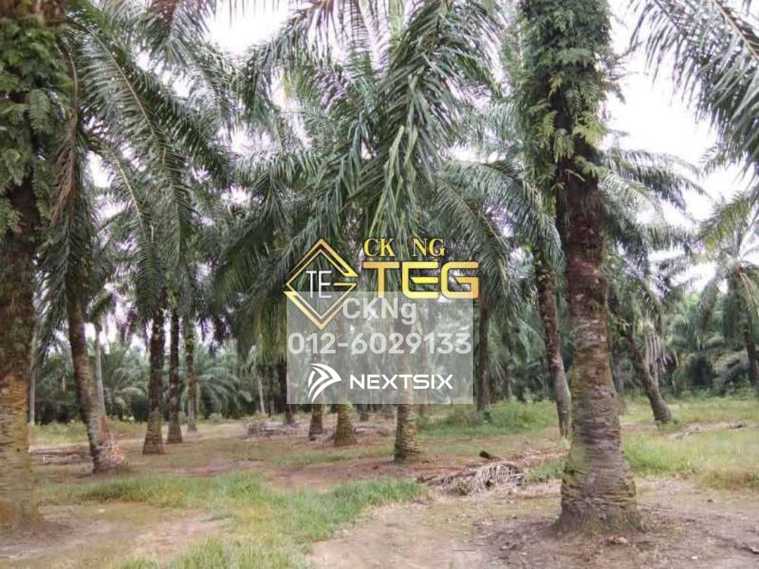 Residential Land For Sale in Banting Selangor - Image 6