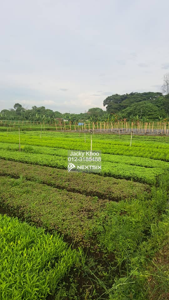 Residential Land For Sale in Klang Selangor - Image 3