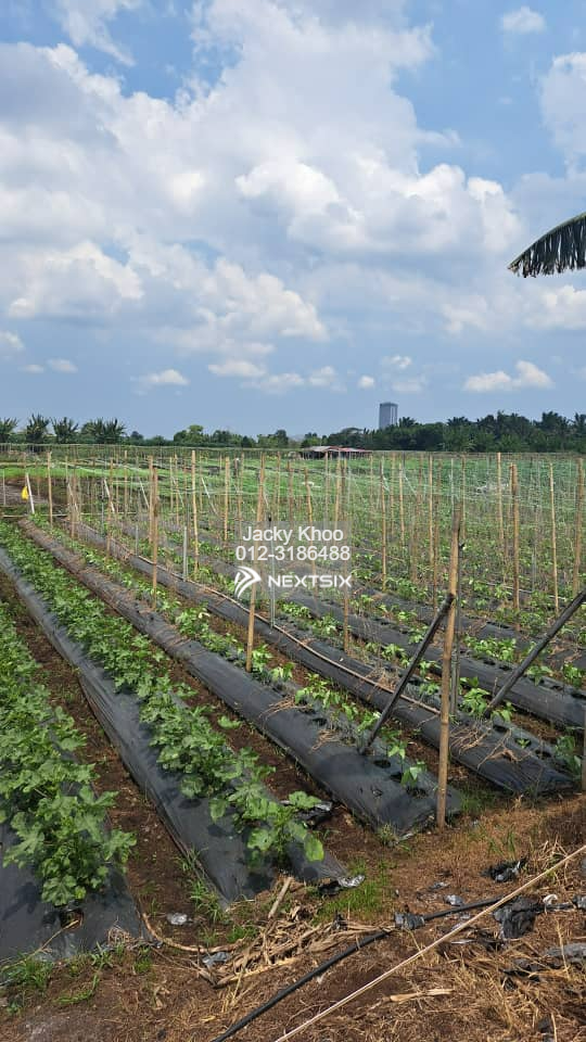 Residential Land For Sale in Klang Selangor - Image 2