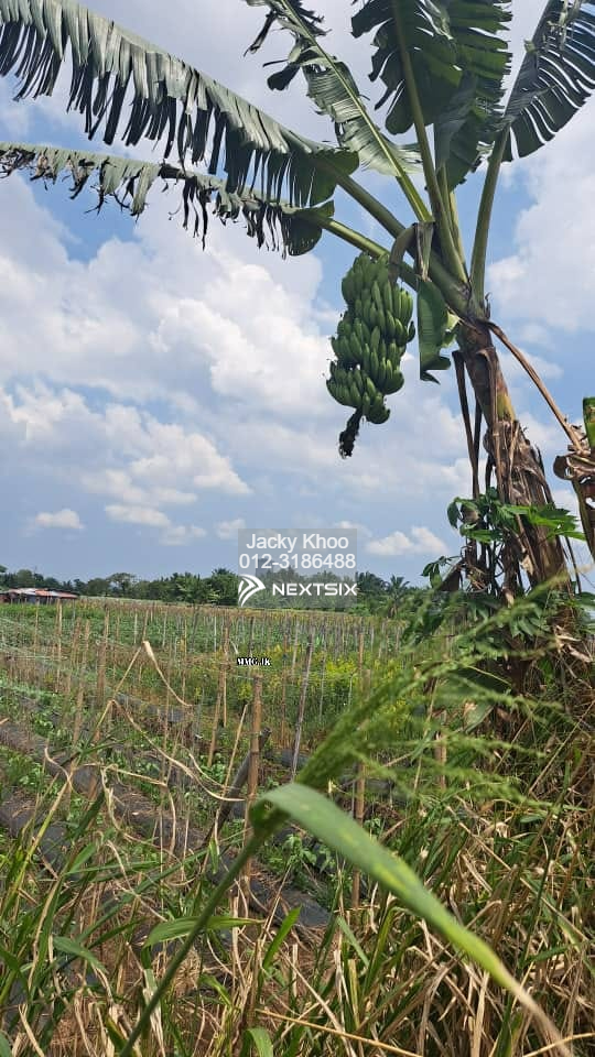 Malaysia, Selangor, Johan Setia Klang Agriculture ( Zoning Residential ) Land for Sale