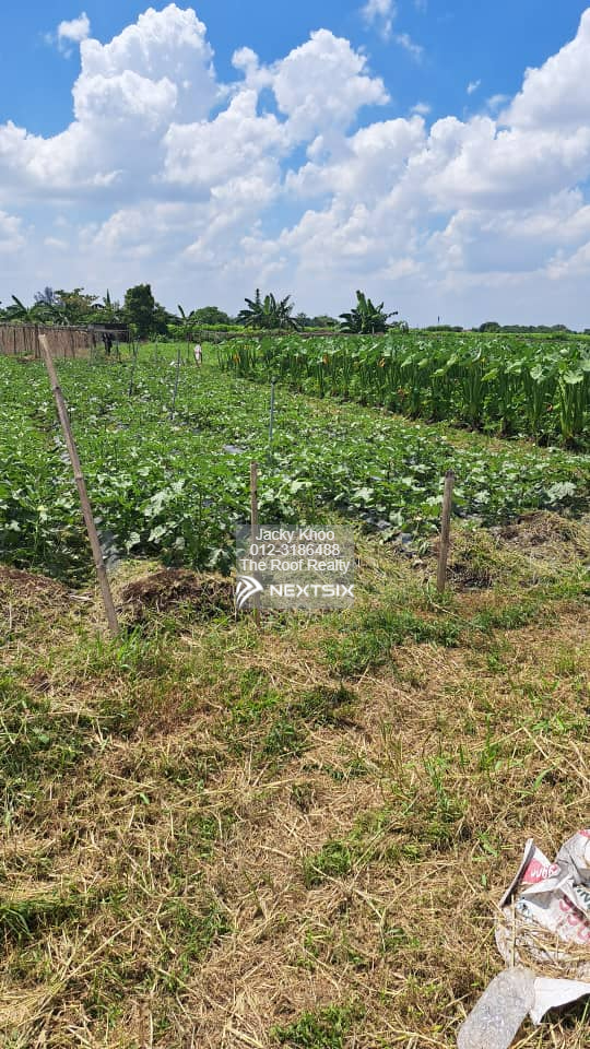 Agricultural Land For Sale in Klang Selangor - Image 2