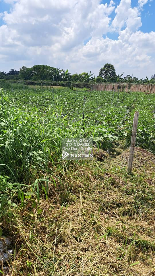 Agricultural Land For Sale in Klang Selangor - Image 6