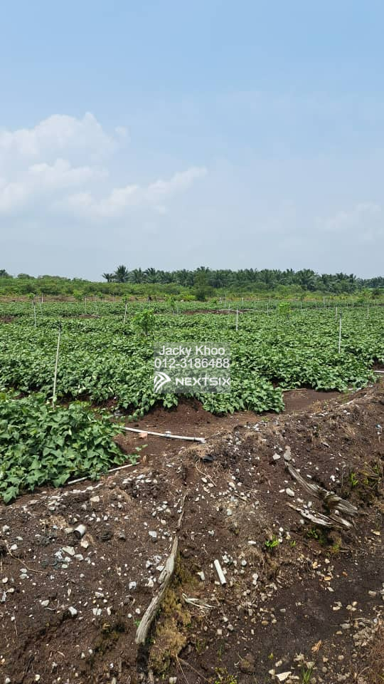 Agricultural Land For Sale in Klang Selangor