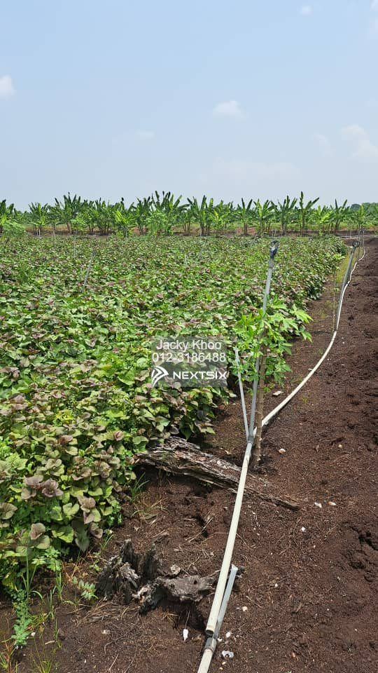 Agricultural Land For Sale in Klang Selangor - Image 6