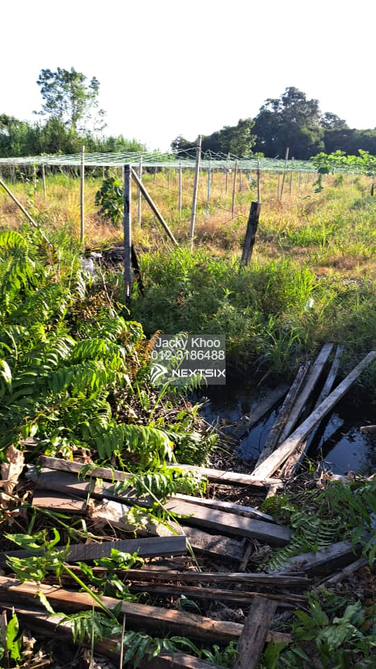 Agricultural Land For Sale in Klang Selangor - Image 11