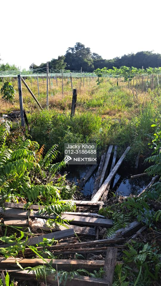 Agricultural Land For Sale in Klang Selangor - Image 14