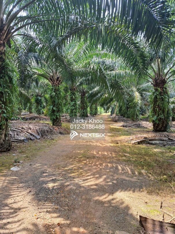 Agricultural Land For Sale in Telok Panglima Garang Selangor