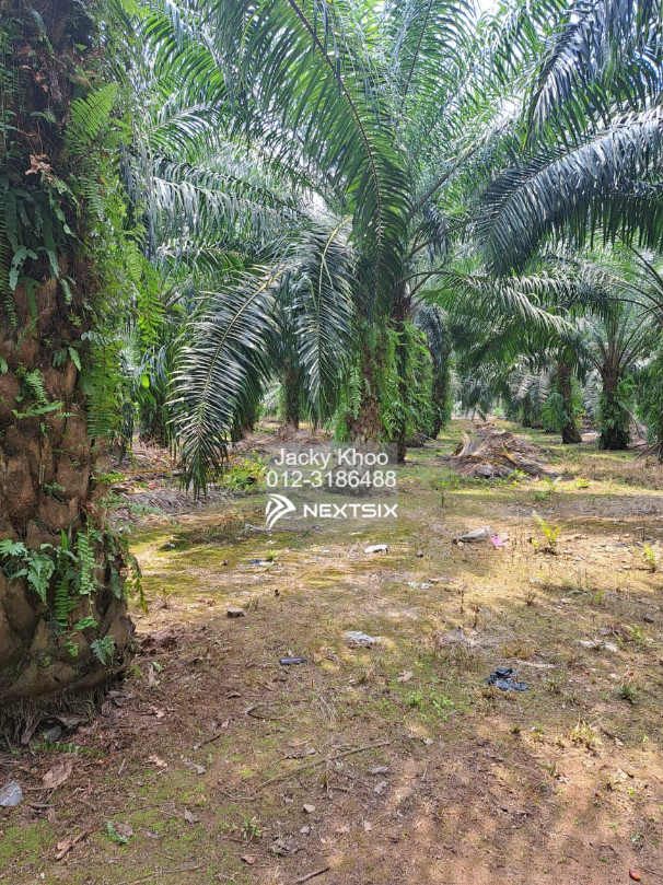 Agricultural Land For Sale in Telok Panglima Garang Selangor - Image 10