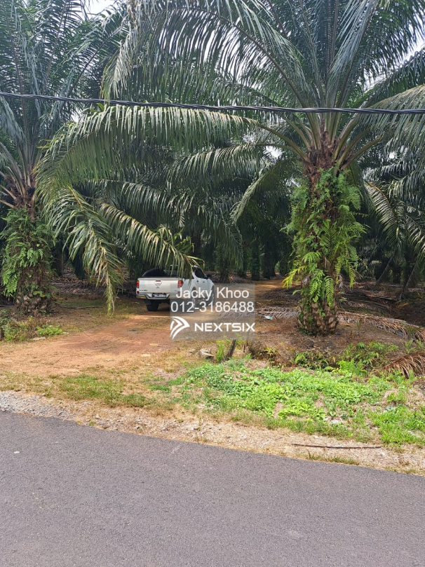Agricultural Land For Sale in Telok Panglima Garang Selangor - Image 8
