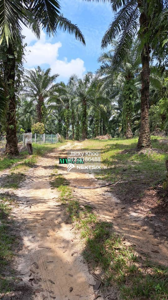Residential Land For Sale in Klang Selangor - Image 3