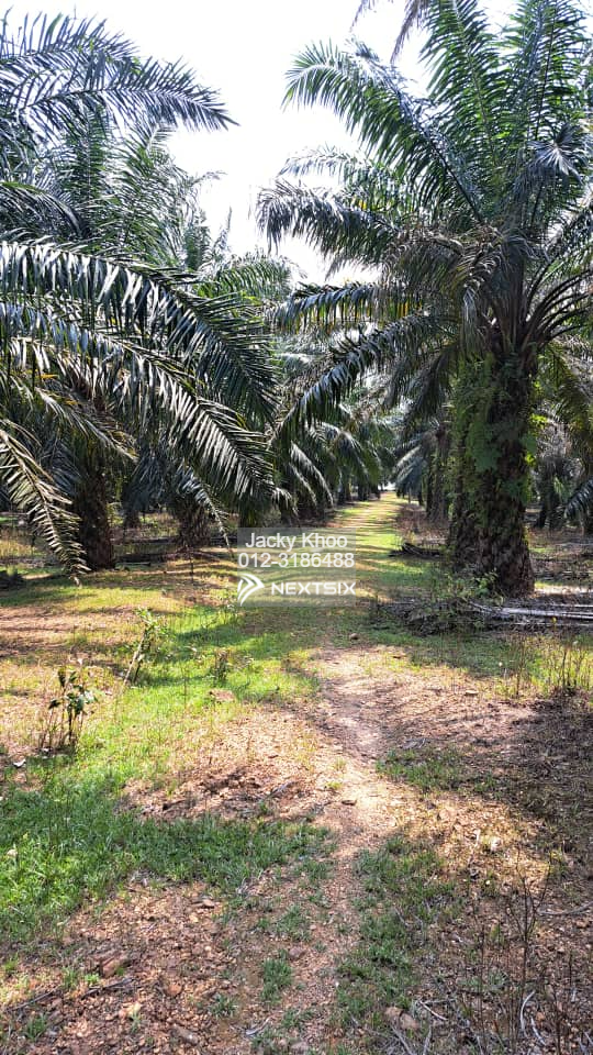 Residential Land For Sale in Klang Selangor - Image 6